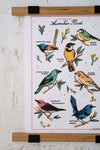 Australian Birds Print