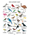 Bird Alphabet Print