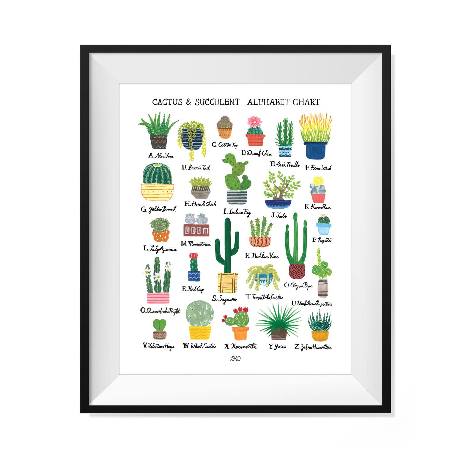 Cactus & Succulent Alphabet Print