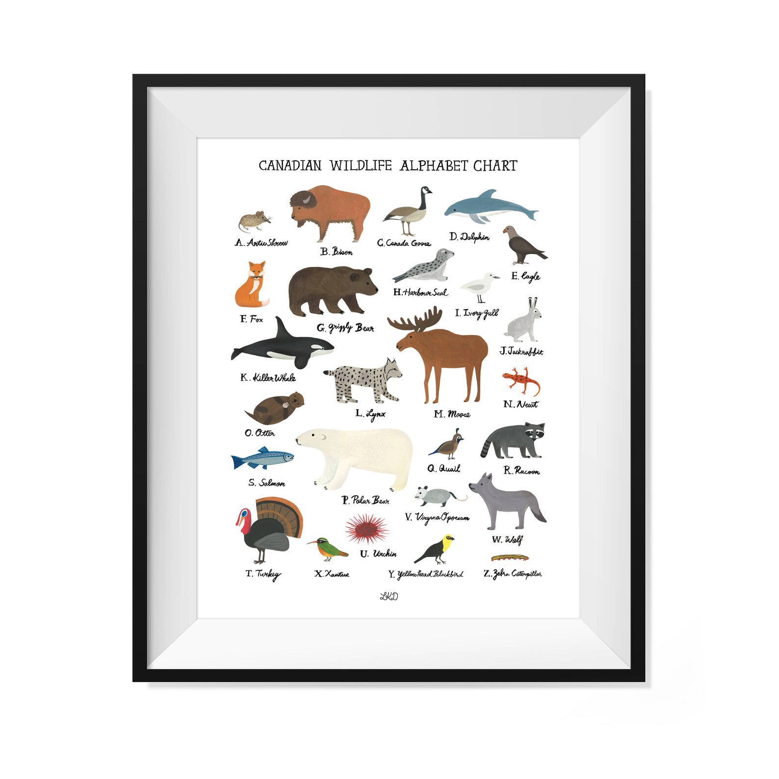 Canadian Wildlife Alphabet Print