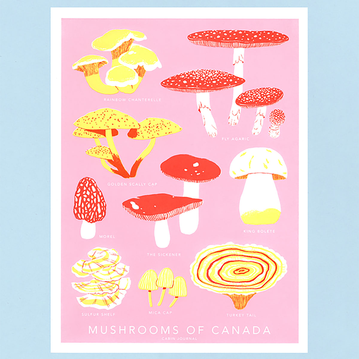 Mushrooms Of Canada Print