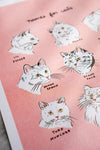 Names For Cats Print