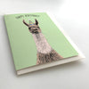 Llama Card