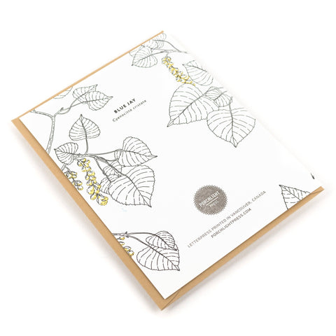 Jay Greeting Cards - Box Set of 6