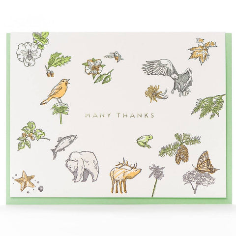 Many Thanks Flora & Fauna Cards - Box Set of 6