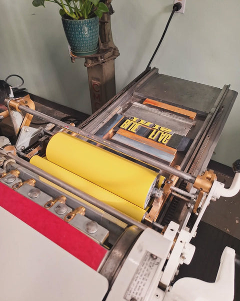 Blue Flag Iris Print