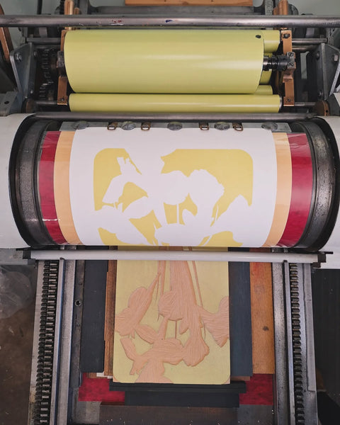 Blue Flag Iris Print