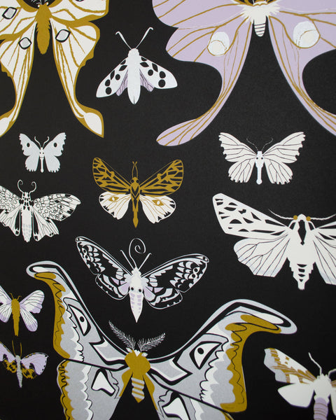 Moths Signed 4-Colour Screen Print