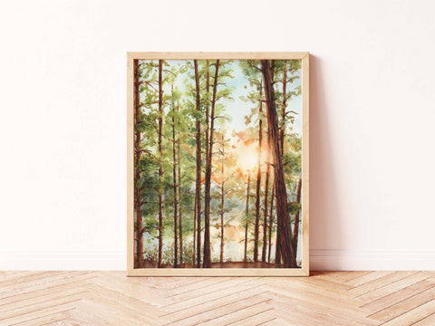 Algonquin Sunset Through the Pines Print