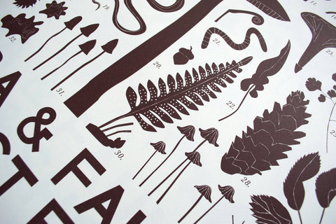 Forest Floor Flora & Fauna Screen Print