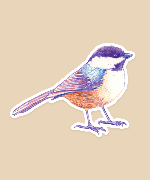 Chickadee Sticker