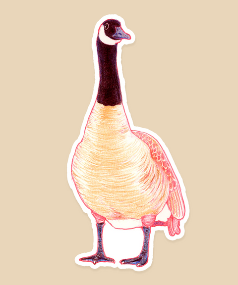 Canada Goose Sticker