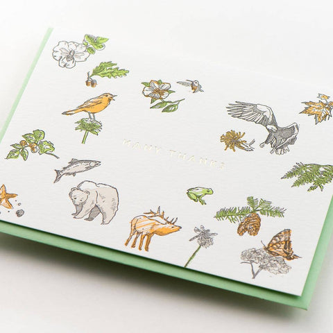 Many Thanks Flora & Fauna Cards - Box Set of 6