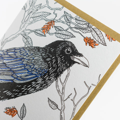 Common Raven Cards - Box Set of 6
