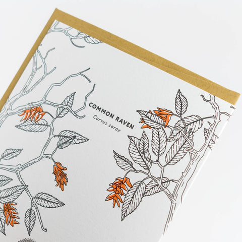 Common Raven Cards - Box Set of 6