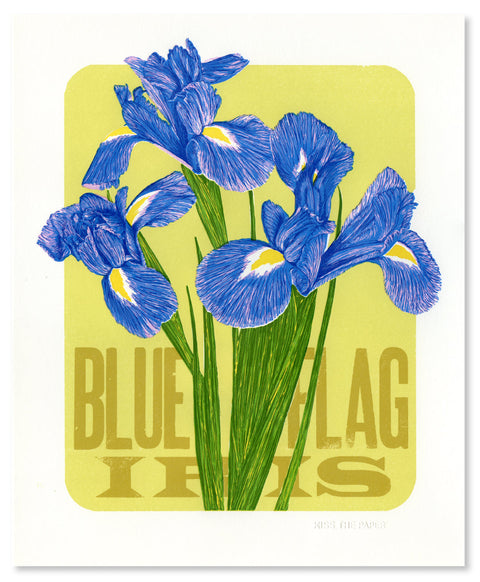 Blue Flag Iris Print