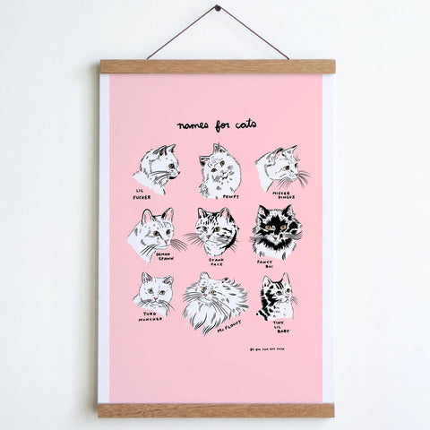 Names For Cats Print