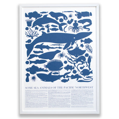 Sea Animals Of The Pacific Northwest Screen Print