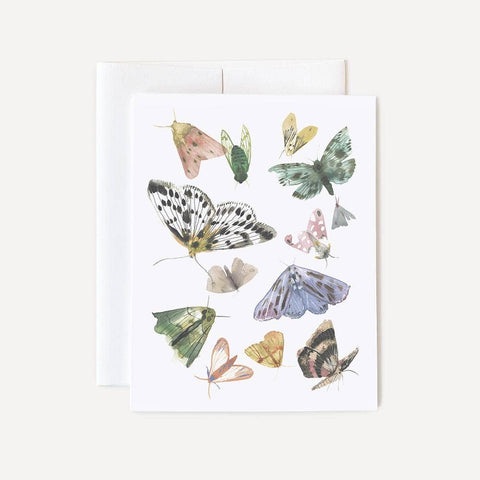Butterflies & Moths Card