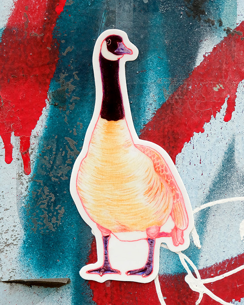 Canada Goose Sticker