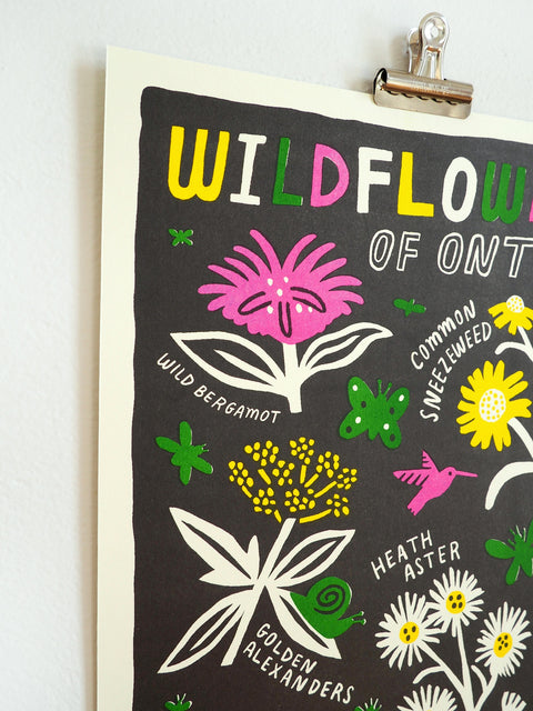 Wildflowers of Ontario Risograph Print