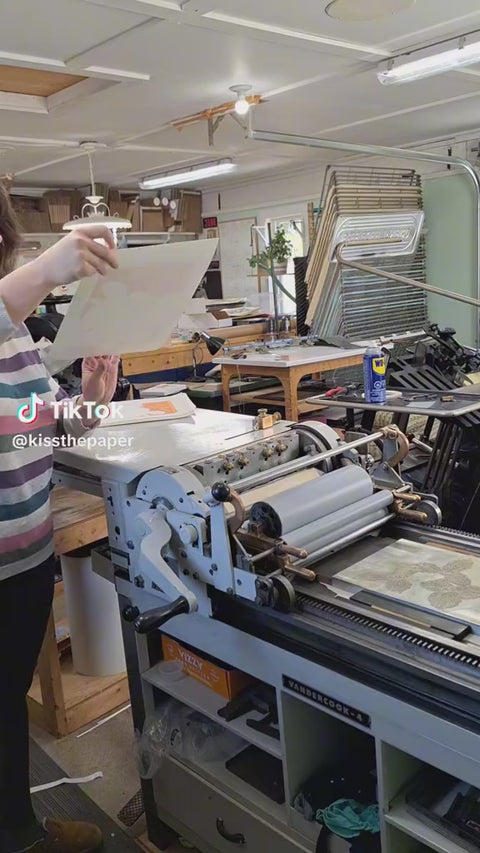 White Trillium Print