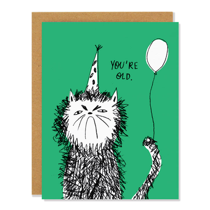 A Snitty Kitty Birthday Card