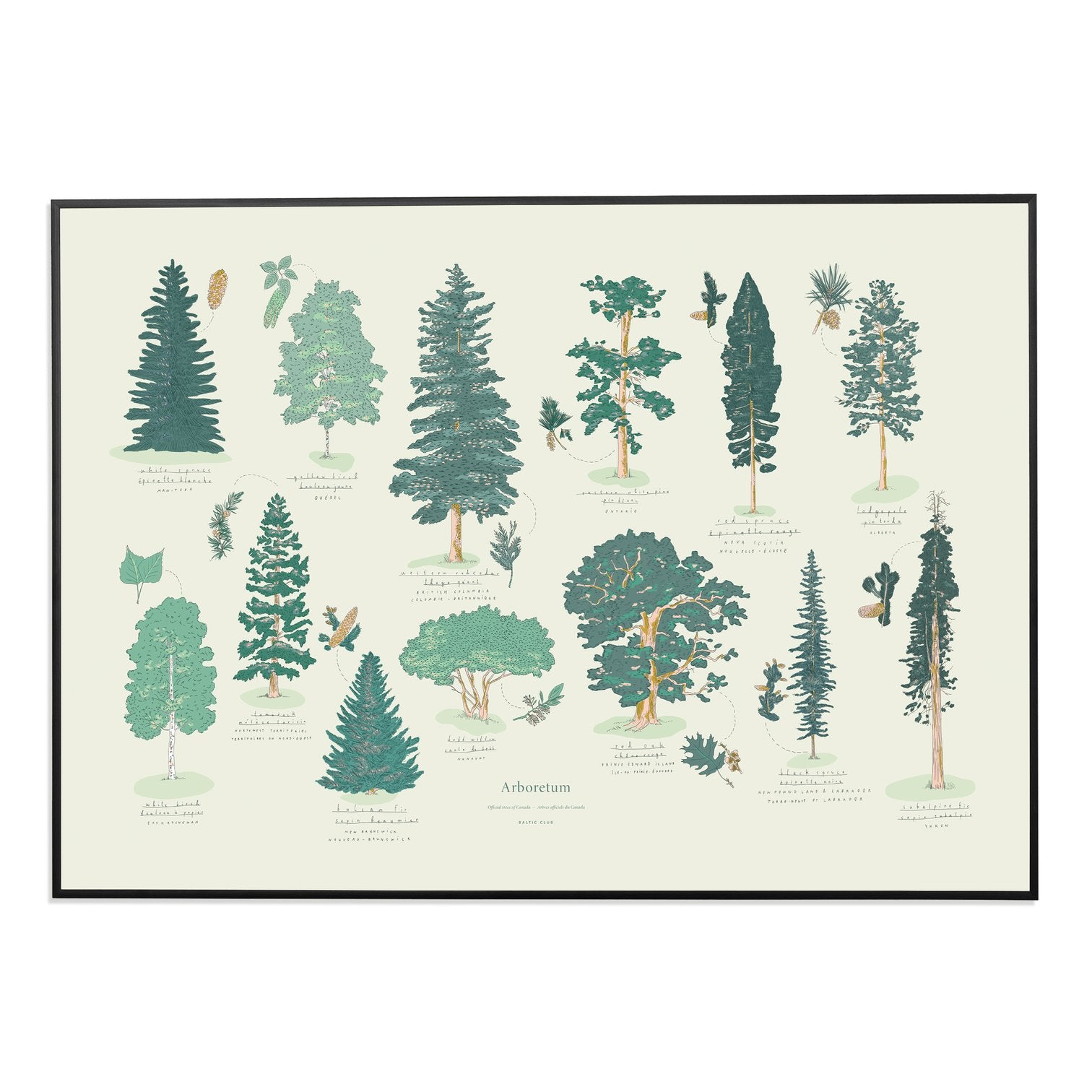 Arboretum Print
