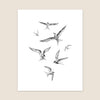 Arctic Terns Print