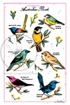 Australian Birds Print