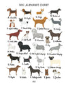 Dog Alphabet Print