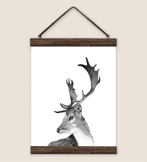 Fallow Deer Print