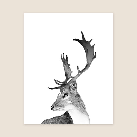 Fallow Deer Print