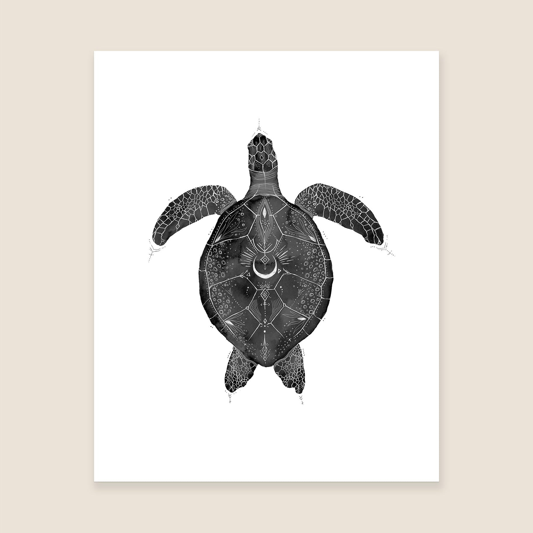 Green Sea Turtle Print