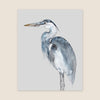 Blue Heron Print