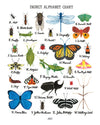 Insect Alphabet Print