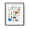 Insect Alphabet Print