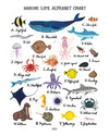 Marine Life Alphabet Print