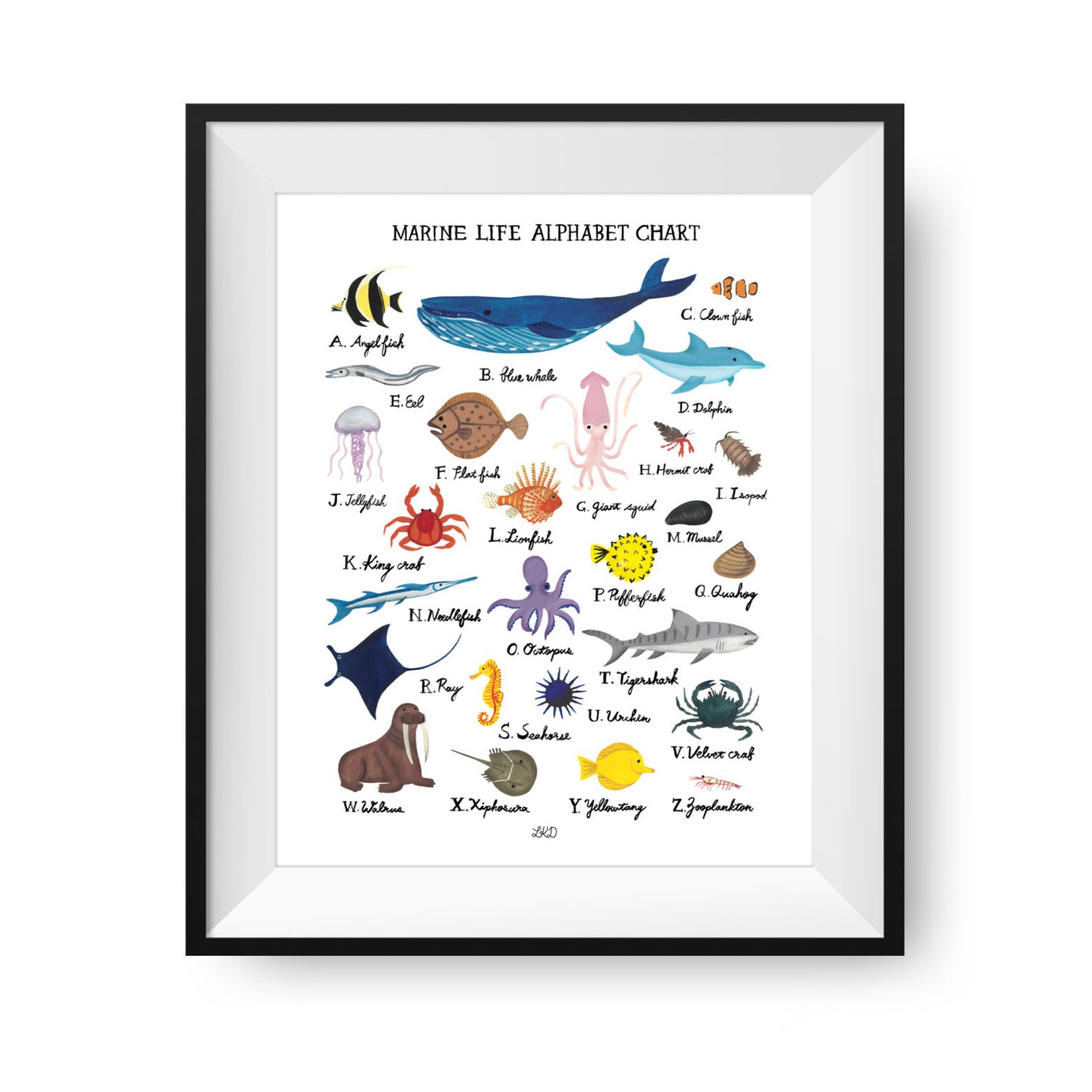 Marine Life Alphabet Print