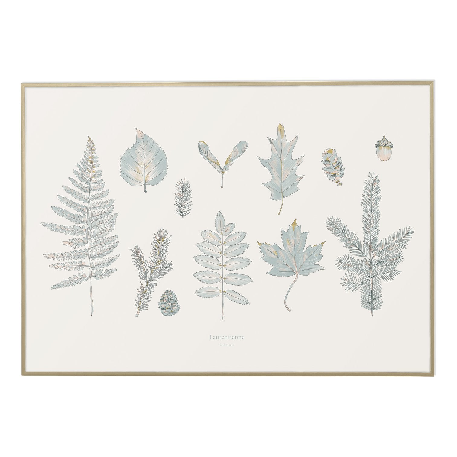 Laurentian Forest Print