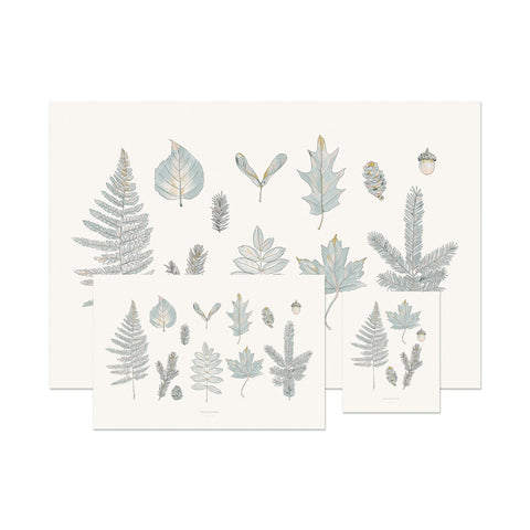 Laurentian Forest Print