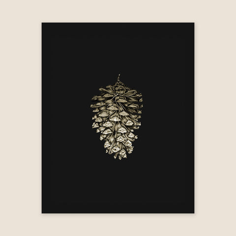 Pinecone Print