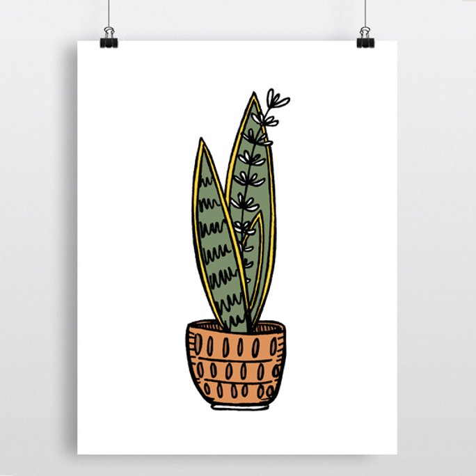 Sansevieria moonshine plant hand draw sketch Vector Image