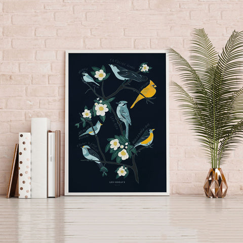Canadian Birds Print