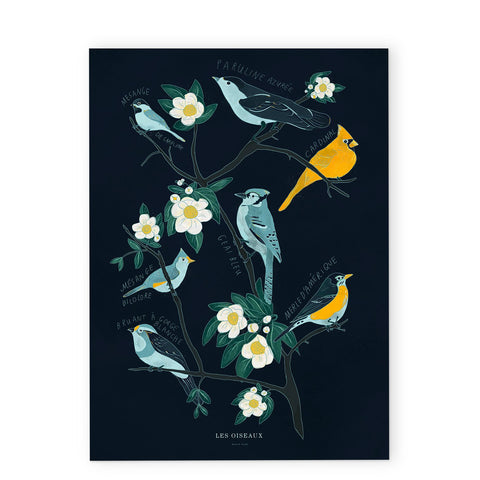 Canadian Birds Print