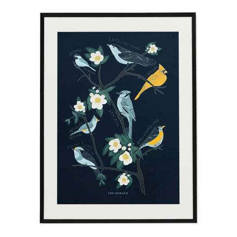 Canadian Birds Print