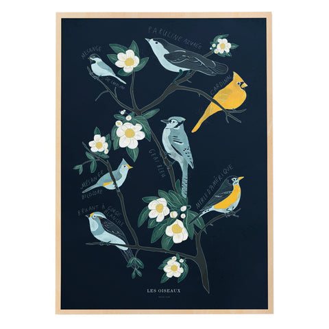 Canadian Birds Print