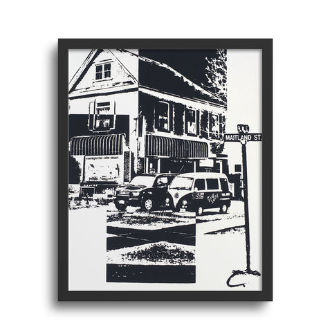 Bag Lady Print