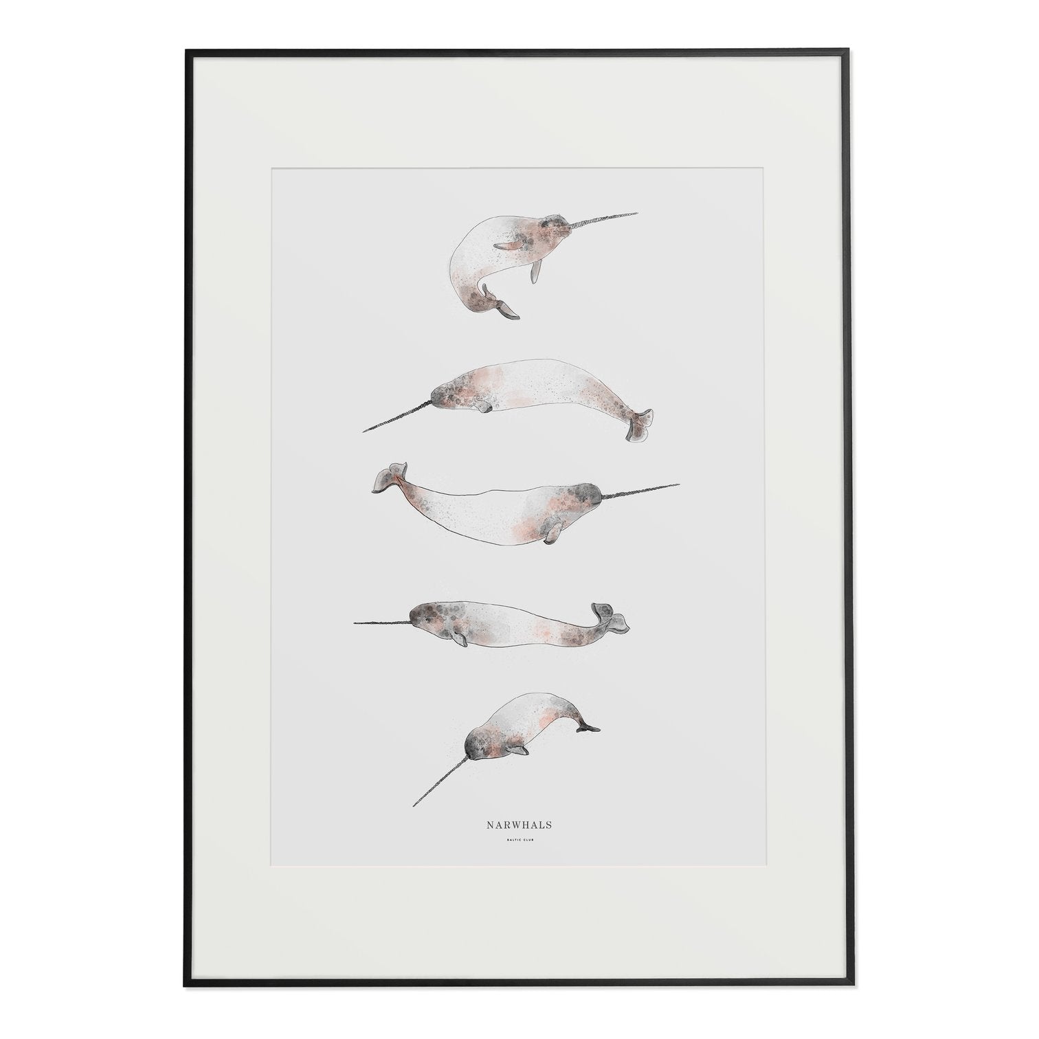 Narwhals Print