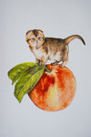 Peach Cat Riso Print